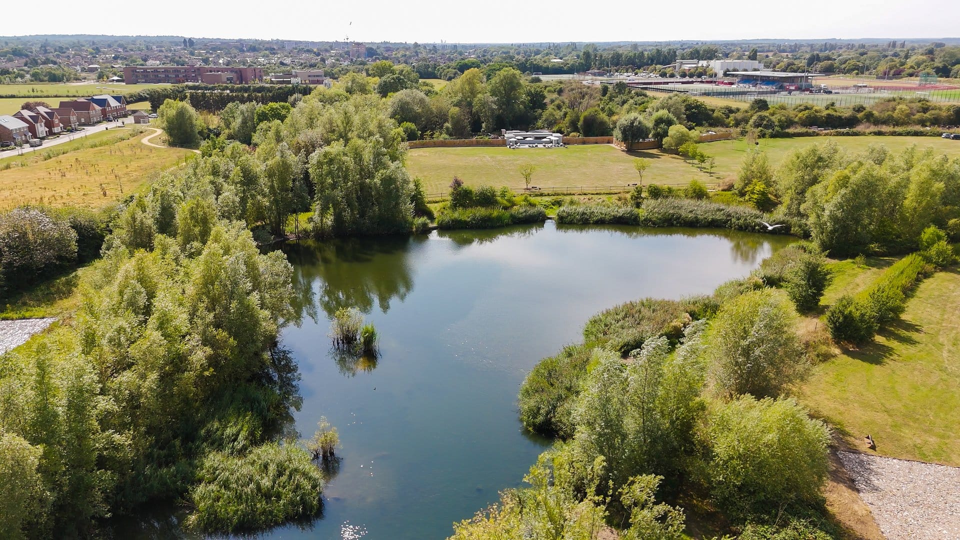 Lake View at Apps Court Lake | Vanilla Bean Catering